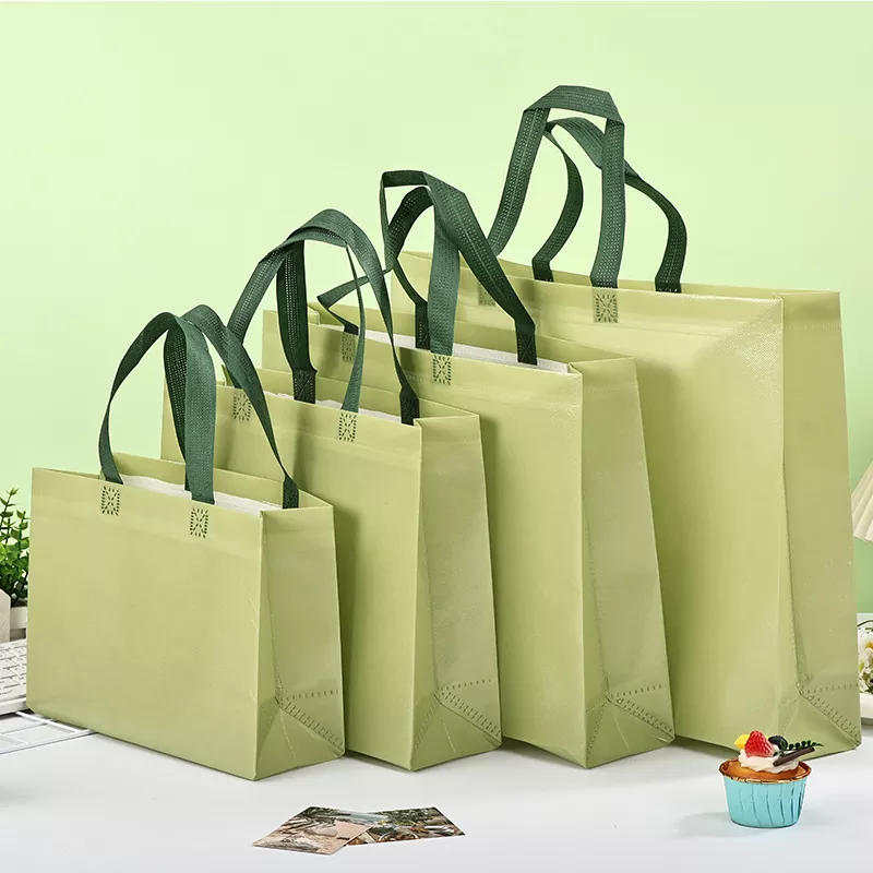 Glossy Laminated Non Woven Promotional Bag