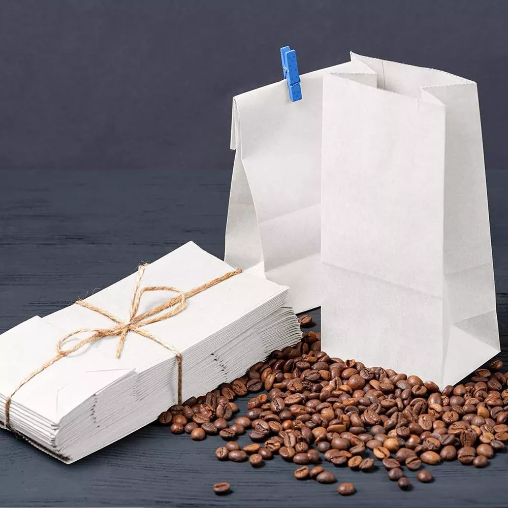 Lightweight Portable Paper Lunch Bag