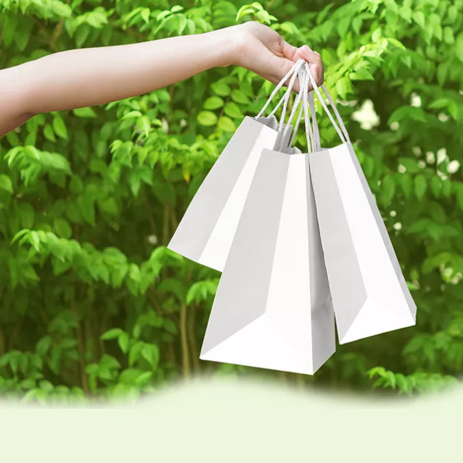 Logo Custom Paper Shopping Bag