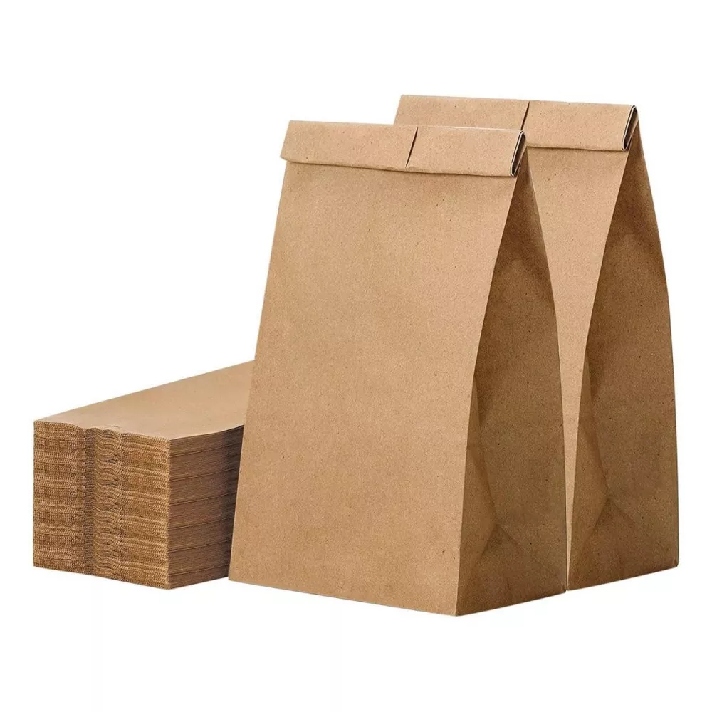 Lightweight Portable Paper Lunch Bag