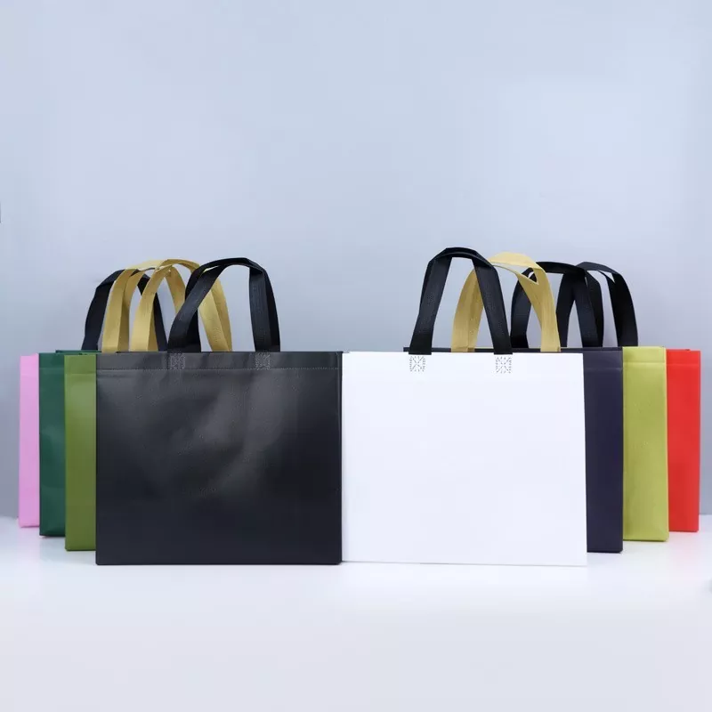 Matte Laminated Non Woven Promotional Bag